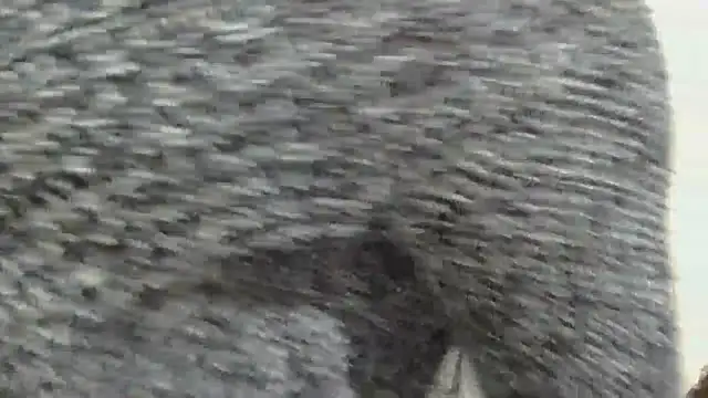 sluttylaura21 online show from December 4, 2025, 11:48 pm