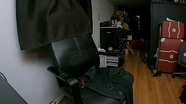 leanjamesdean online show from January 15, 2026, 5:33 am