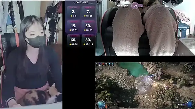 z23002 online show from January 30, 2025, 2:36 pm