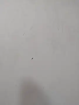 Rafaelayamazaki online show from December 18, 2025, 12:09 pm