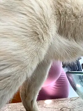 lupyta20 online show from October 5, 2025, 1:02 pm