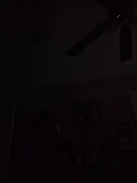 hungpenis210 online show from December 2, 2025, 9:00 am