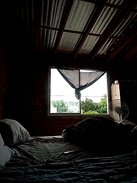 maruli online show from March 14, 2026, 7:42 pm