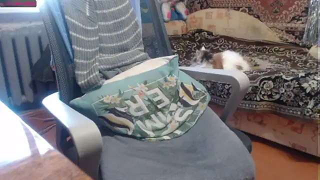 sweetbbabe online show from October 1, 2025, 2:54 pm