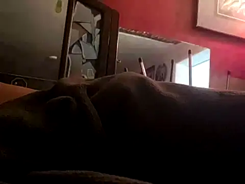 JRock69nKzoo online show from November 12, 2025, 11:58 am