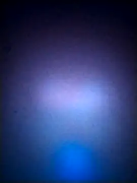 Snapshot of LissaThompsom chatting on September 21, 2025, 2:55 pm LissaThompsom online show from September 21, 2025, 2:55 pm