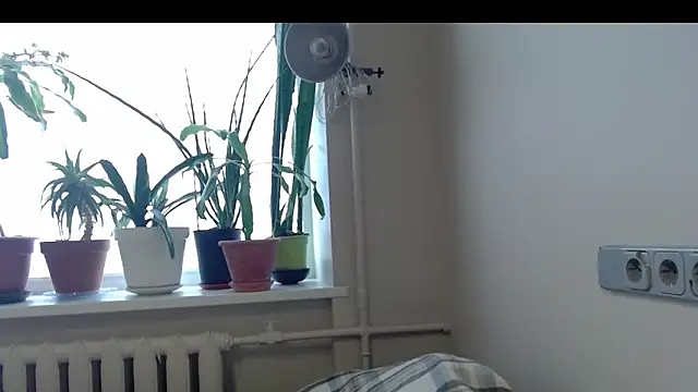 Sophi Cute online show from February 17, 2025, 1:44 pm