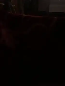 Son fuck online show from January 6, 2025, 10:36 pm