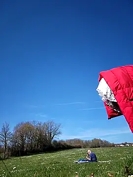 bellapaty online show from March 17, 2026, 12:52 pm