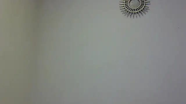 Snapshot of feline27 chatting on November 11, 2025, 8:47 pm feline27 online show from November 11, 2025, 8:47 pm