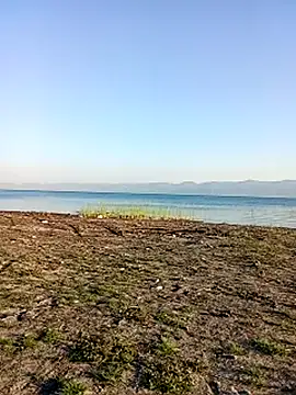 parabellumm online show from September 24, 2025, 2:56 pm