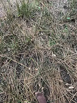 Yurt000 online show from September 16, 2025, 4:57 am