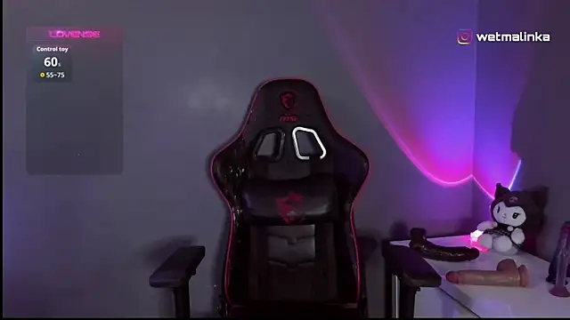 Snapshot of ohlin_hub chatting on October 9, 2025, 7:58 pm ohlin hub online show from October 9, 2025, 7:58 pm