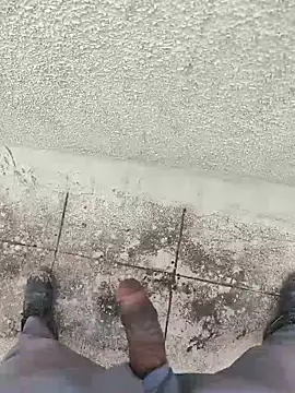 samlord261 online show from November 5, 2025, 11:35 am