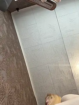 AmmyHot online show from November 5, 2025, 4:04 am