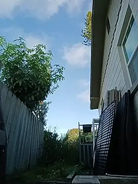 Snapshot of Hotbodyscottie chatting on October 28, 2025, 12:59 pm Hotbodyscottie online show from October 28, 2025, 12:59 pm