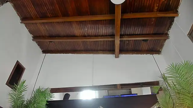 emily-fox online show from March 31, 2026, 11:01 am