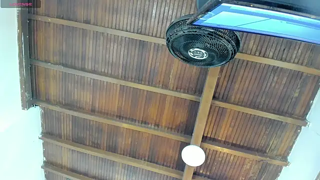 emily-fox online show from October 6, 2025, 11:00 am