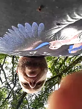 OFICINA Simas-Turbo online show from October 1, 2025, 12:09 pm