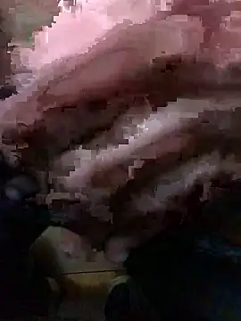 Dut421xh online show from November 9, 2025, 11:36 am