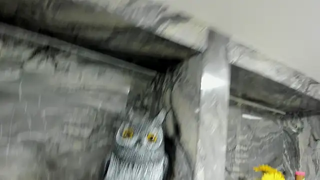 miss danika online show from October 1, 2025, 11:03 am