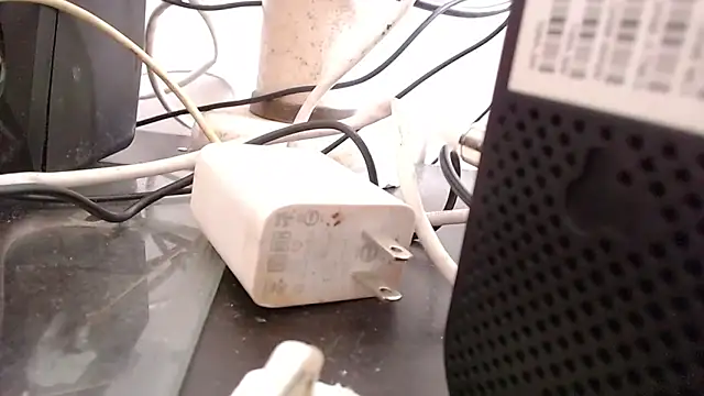 bardotbigcockts online show from September 25, 2025, 8:04 pm