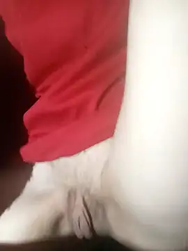 Snapshot of ChristyXDave chatting on March 18, 2025, 10:04 pm ChristyXDave online show from March 18, 2025, 10:04 pm