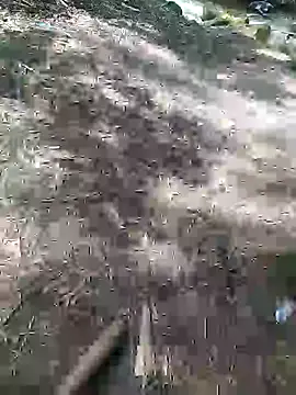 DeianZabal  online show from October 25, 2025, 6:41 pm