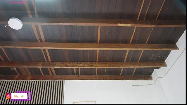 LillyDolls23 online show from February 20, 2026, 1:02 pm