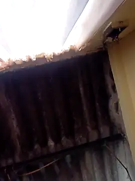 Snapshot of dantero chatting on February 27, 2025, 3:48 pm dantero online show from February 27, 2025, 3:48 pm