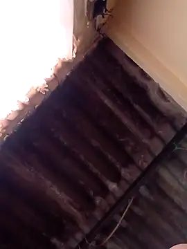 Snapshot of dantero chatting on January 13, 2025, 4:51 pm dantero online show from January 13, 2025, 4:51 pm