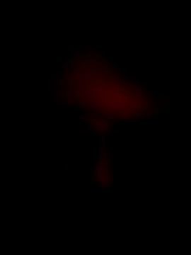 Yeyeyleidi online show from October 19, 2025, 3:31 am