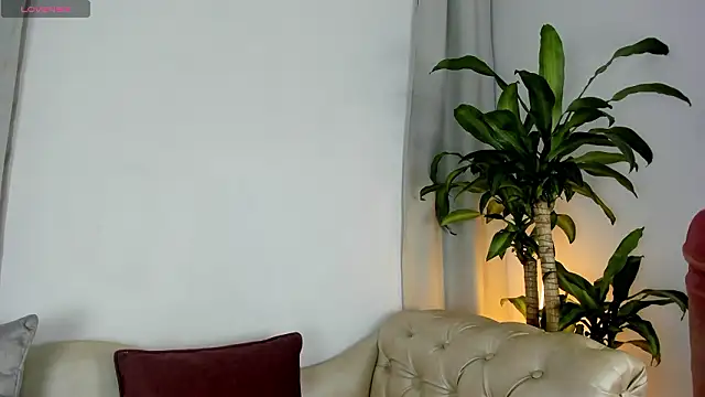 Jentokio online show from February 11, 2026, 10:53 pm