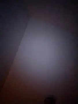 Treemandude online show from January 6, 2026, 10:08 am