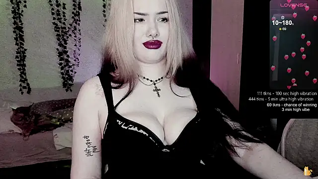 strawberry elfcat online show from February 8, 2026, 5:16 am