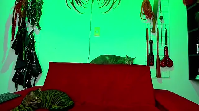 irregular fetish  online show from February 26, 2026, 7:47 pm