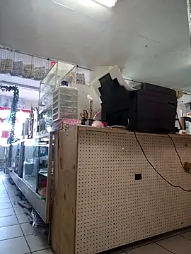 Snapshot of Mia_Novikov chatting on February 24, 2026, 10:21 pm Mia Novikov online show from February 24, 2026, 10:21 pm