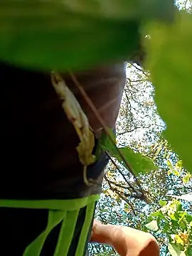 JrCXXIV online show from January 8, 2026, 11:11 pm