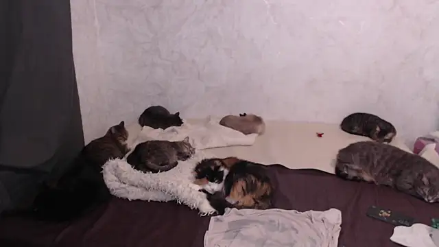 Olivia Winston online show from January 13, 2026, 4:22 pm