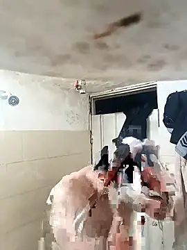 walwan85 online show from November 12, 2025, 3:32 am