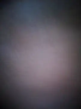 Snapshot of BarbudoSP35 chatting on November 9, 2025, 9:46 am BarbudoSP35 online show from November 9, 2025, 9:46 am