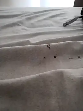 Snapshot of BarbudoSP35 chatting on March 15, 2025, 1:18 pm BarbudoSP35 online show from March 15, 2025, 1:18 pm