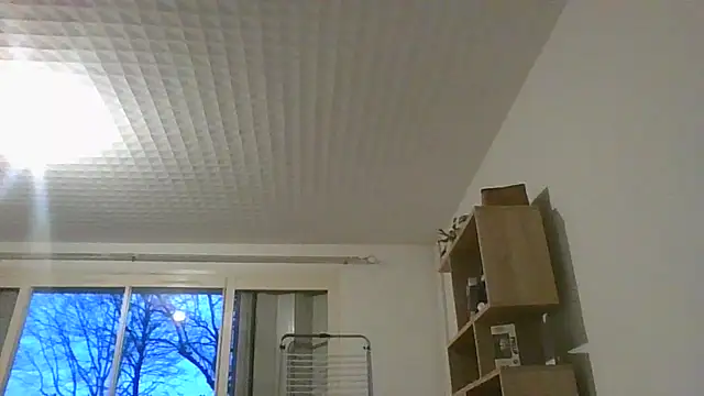 Snapshot of Linaluxa chatting on January 12, 2026, 4:25 pm Linaluxa online show from January 12, 2026, 4:25 pm