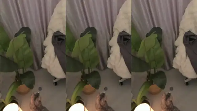 Minami 686 online show from January 26, 2025, 5:23 am