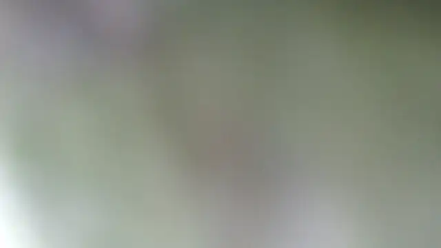 Sophia your online show from March 18, 2025, 7:44 pm