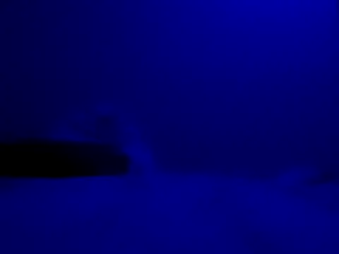 Blkstylion online show from November 27, 2025, 8:20 pm