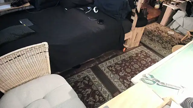 Dark Asteroid online show from February 28, 2026, 1:33 pm