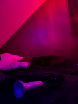 nicedicknicetats online show from November 12, 2025, 4:16 am