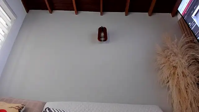 Snapshot of neo_dimou_ chatting on October 25, 2025, 11:53 am neo dimou online show from October 25, 2025, 11:53 am