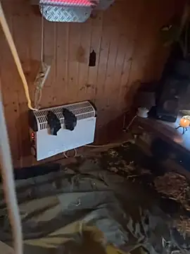 Snapshot of SexToyOnely chatting on February 6, 2026, 7:37 am SexToyOnely online show from February 6, 2026, 7:37 am